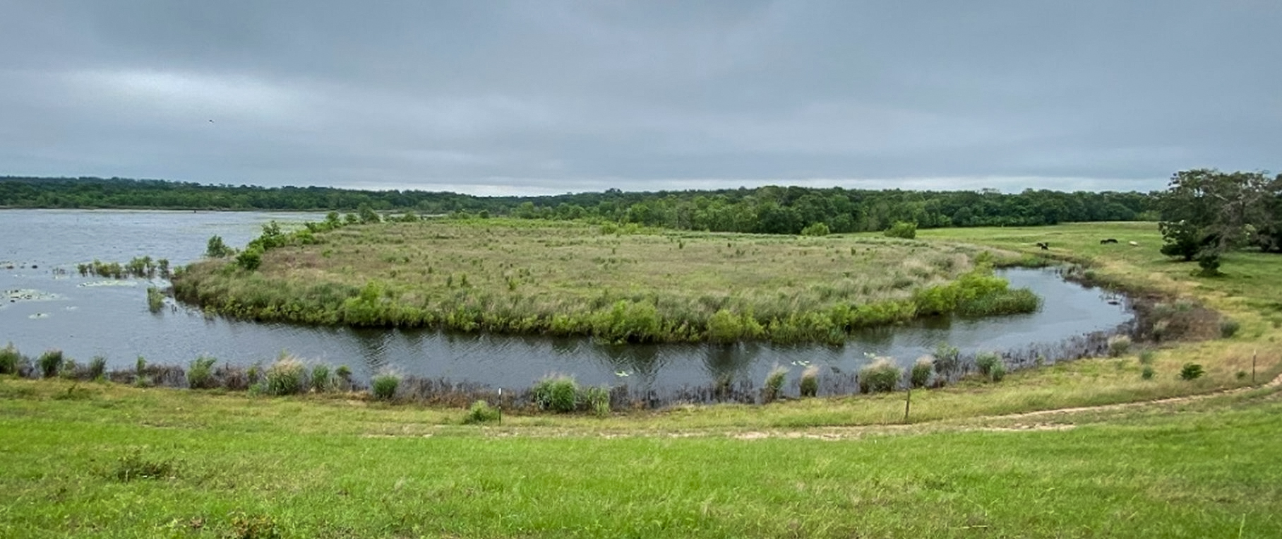 Pond SP-50 Islands